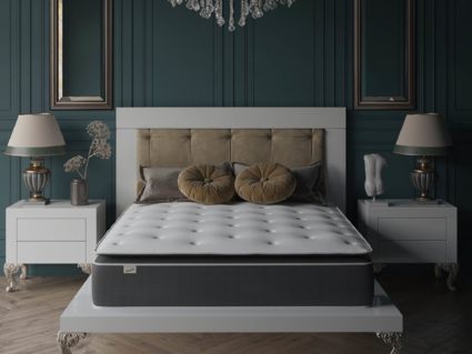 Матрас Evita SymBio Charm Extra Relax 34
